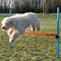 Blue Trixie Dog Activity Agility Hurdle