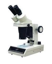 Stereo Microscope