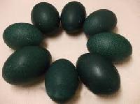 Emu Egg Shells