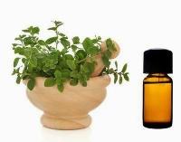 Marjoram Oil - 100% Pure, Natural & undiluted Essential Oil