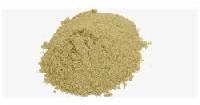 Cissus Quadrangularis Extract