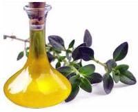 Thyme Oil