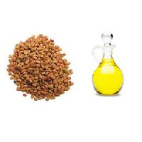 Fenugreek Oil