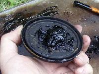 birch tar oil