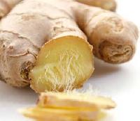 Ginger Oleoresin