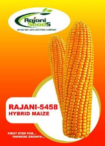 Rajani-5458 Hybrid Maize Seeds