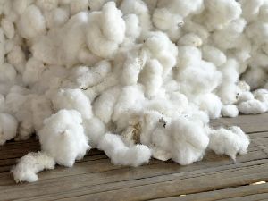 Brazil Raw Cotton