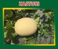 Kasturi Hybrid Muskmelon Seeds