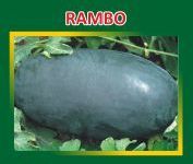 Rambo Hybrid Watermelon Seeds