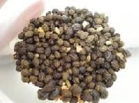 Papaya Seeds