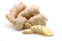 Ginger Seed