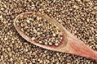 Hemp Seeds