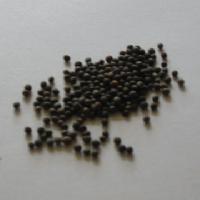 Broccoli Seeds