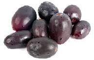 Jamun Seed