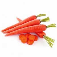 Carrot Red Long special seeds