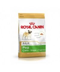 Royal Canin Pug Adult 0.5 kg Dog Food