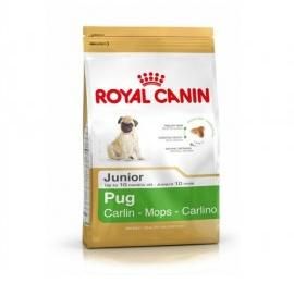 Royal Canin Pug Junior Puppy Food 500 gm