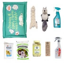 Wags and Woofs Puppy Hamper