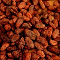 Unfermented Cacao Beans