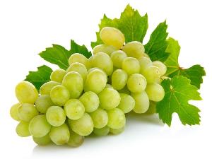 Fresh Grapes