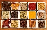 south indian spices