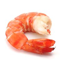 sea shrimp
