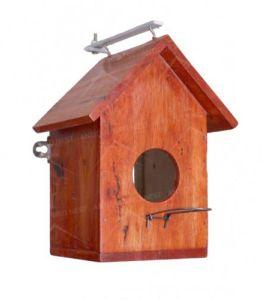 Side Glass Bird Houses