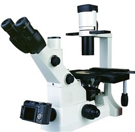 Microscope