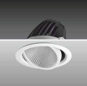 RAY S ceiling light