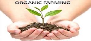 organic farming consultant