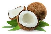 Coconut