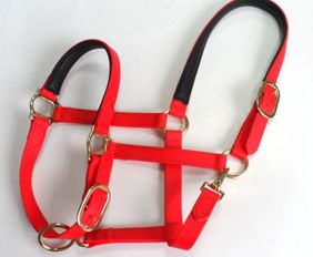 Horse PVC Halters