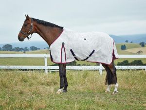 Cotton horse Rugs