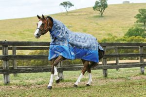 horse turnout rugs