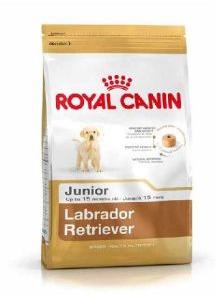 royal canin labrador junior