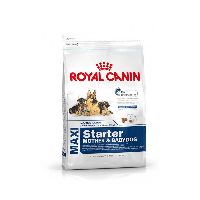 Royal Canin Maxi Starter