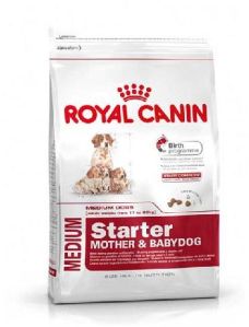 royal canin medium starter