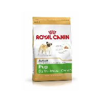 Royal Canin Pug Adult