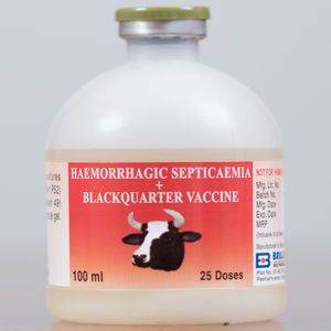 Haemorrhagic Septicaemia Blackquarter Vaccine