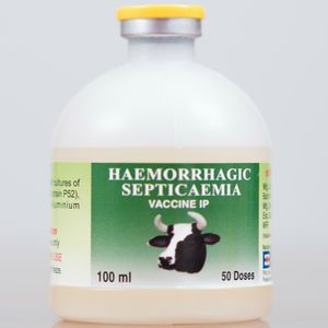 Haemorrhagic Septicaemia Vaccine