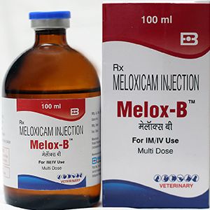 Meloxicam Inj-100 ml