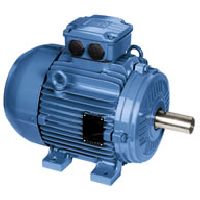 W21 Standard Efficiency Non-Sparking Motor