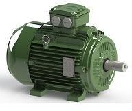 W21 Standard Efficiency Non-Sparking Motor