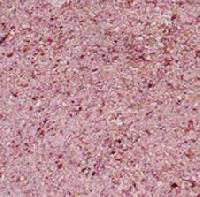 Dehydrated Red Onion Granules