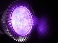 ultraviolet lights