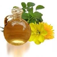 Primrose Oil