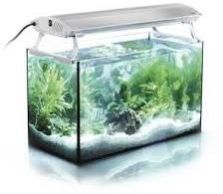 Lighted Fish Aquariums