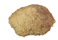 seasoning powder