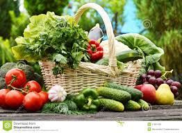 Organic Vegetables