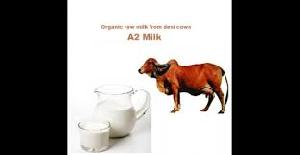 Desi Gir Cow A2 Organic Milk